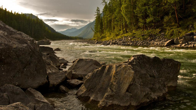 nha cung cap ve sinh cua thinh phat