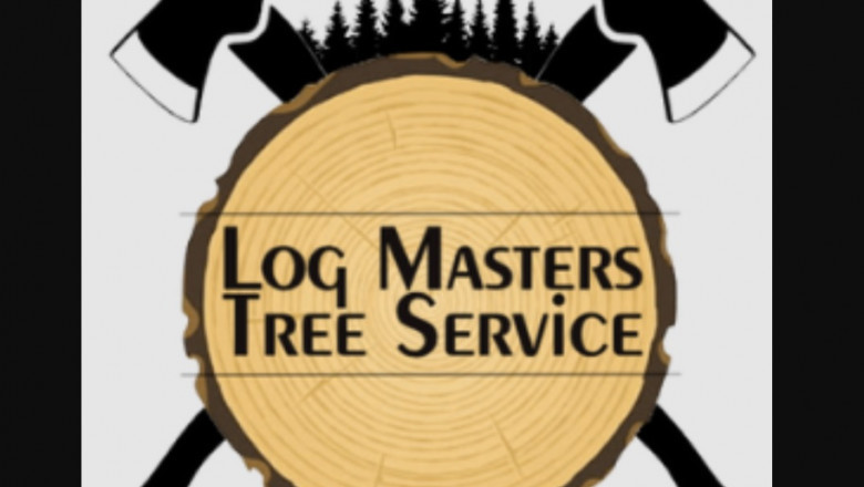 Why Tree Service Is Needed at All?