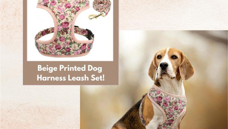 Buy Floral flower collars online | curlitail