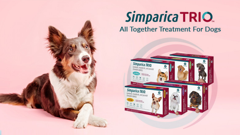 Simparica Trio for Dogs: 3-in-1 Advanced Treatment