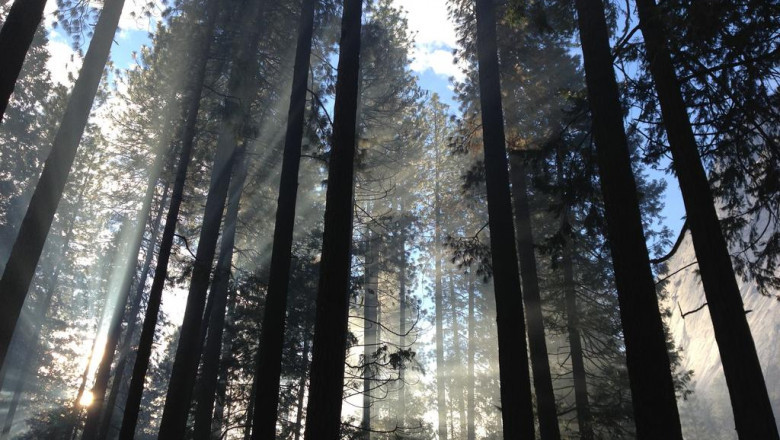 the plot plastikowy bialysuperb blog 6417