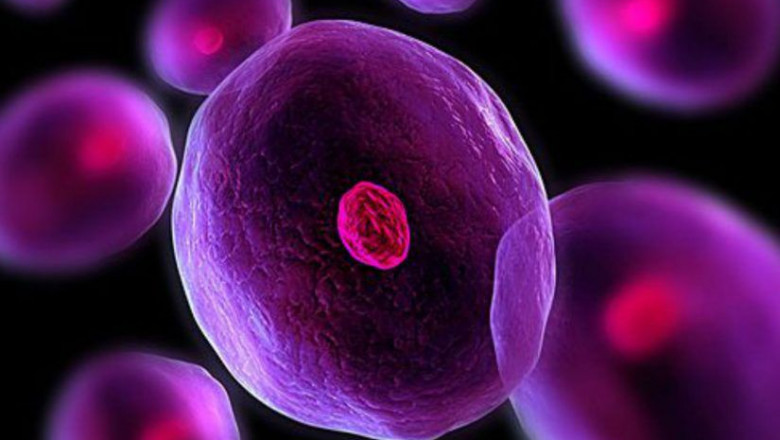 Global Cell Expansion Market: Share, Size, Growth, Opportunity and Forecast 2022-2028