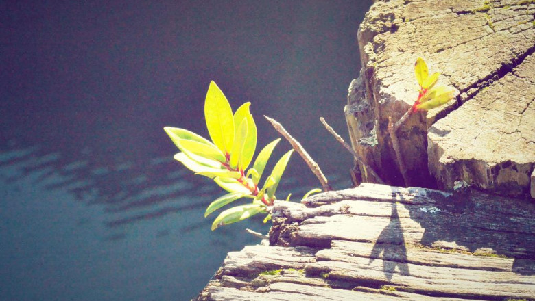 what the best top website design agency pros do and you should too