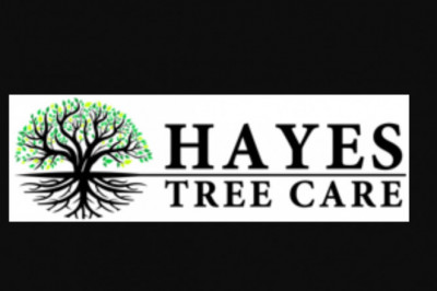 How Tree Lopping Services Can make Your Work Uncomplicated