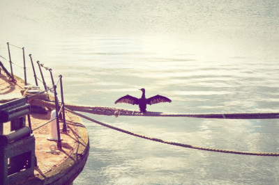 lo que debes saber antes de pintar su piso