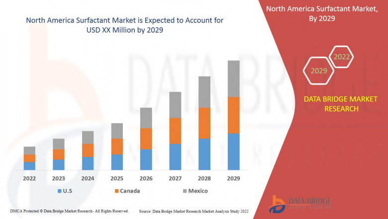 North America Surfactant Market Analysis, Size, Share & Trend Analysis Report by Application