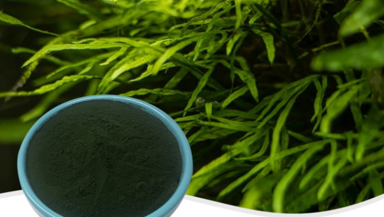 The Advantage of organic superfood powder