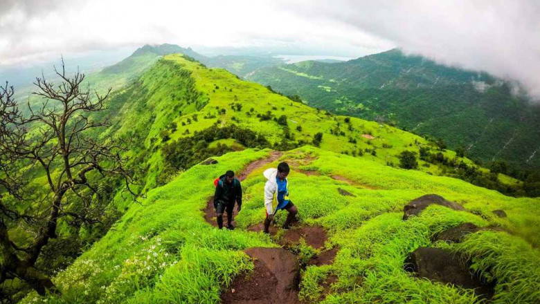 Monsoon trek to Garbett Plateau