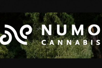 The best way to Locate The right Dispensary Close to You