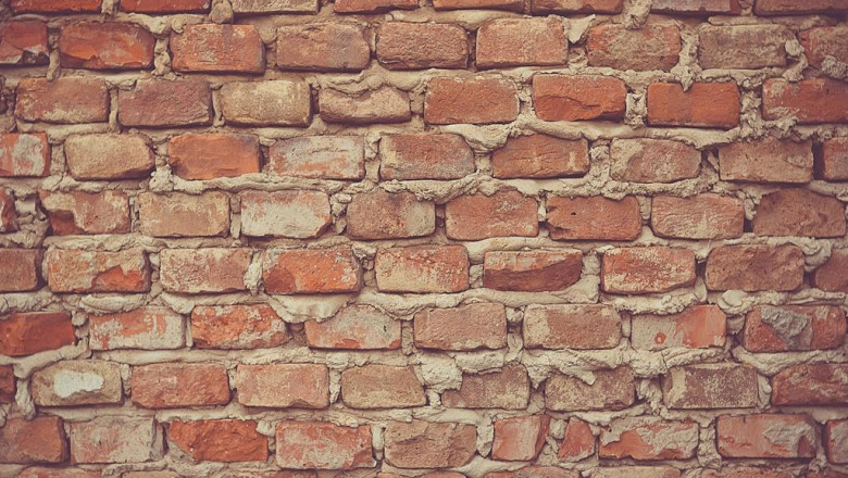 20 trailblazers leading the way in nagahoki303