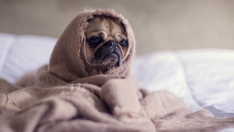 8 easy and cheap inexpensive ideas much easier miss