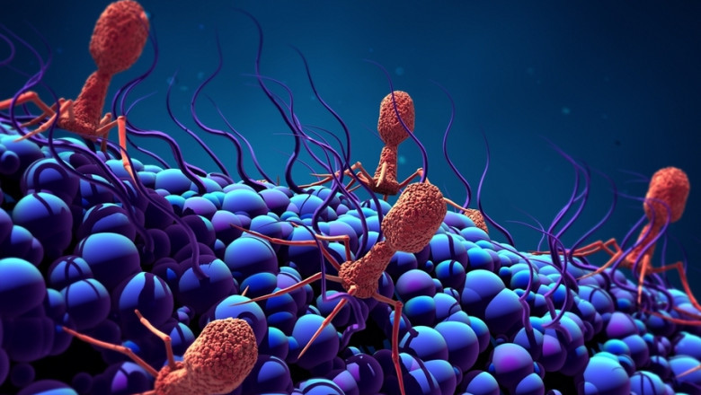 An Overview of the Aptamers Market