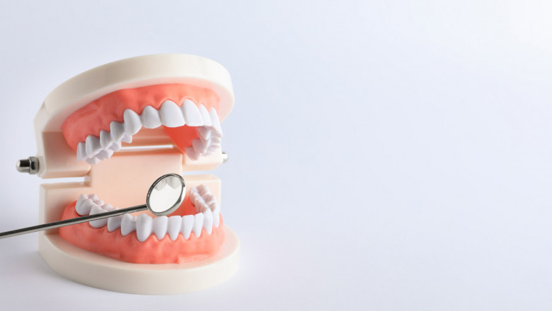 orthodontics in Water Mills