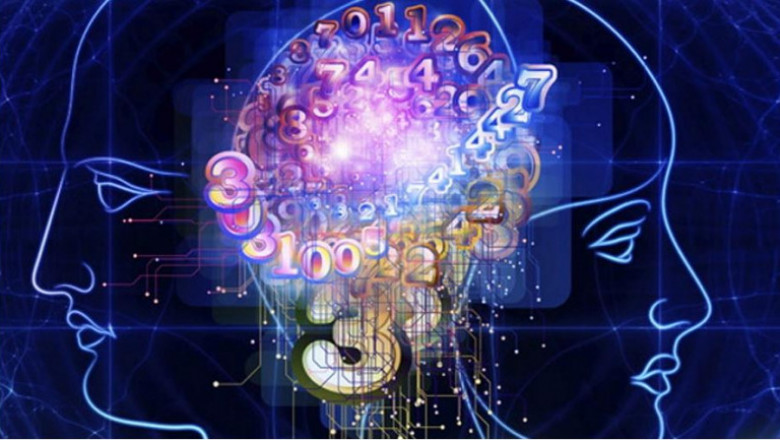 Cognitive function of the brain