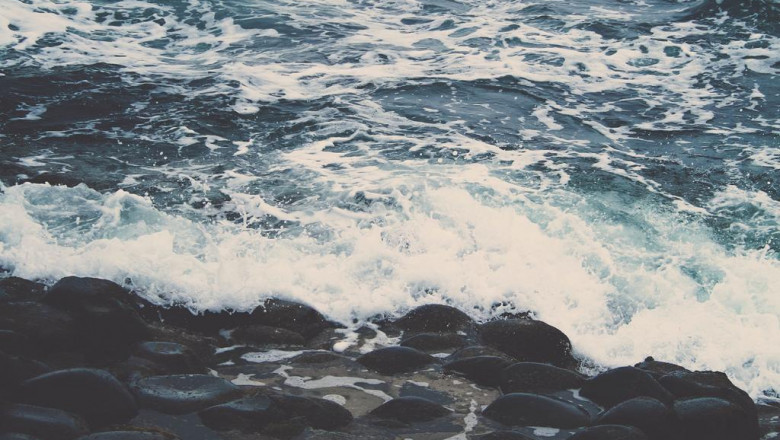 faruqi and faruqi breaking news about organogenesis shareholders