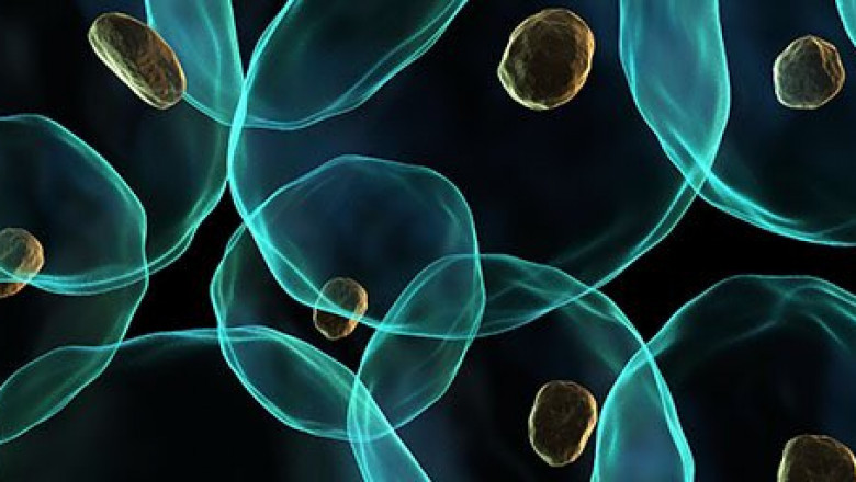 Global Biophotonics Market Overview