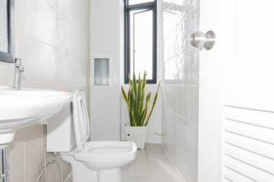 WHAT SHOULD YOU CONSIDER BEFORE BUYING A TOILET?