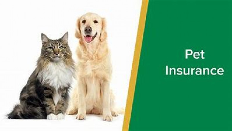 Global Pet Insurance Market is expected to grow with an anticipated CAGR of more than 10% in 2026