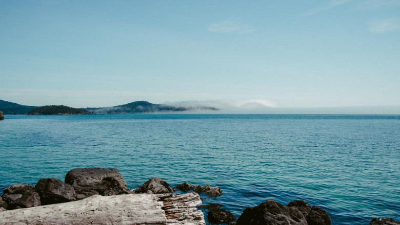 10 pinterest accounts to follow about luwak coffee bali