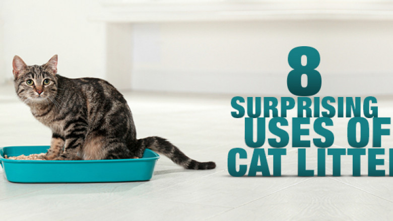 8 Surprising Uses of Cat Litter