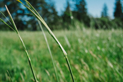 10 best mobile apps for detoxify your body