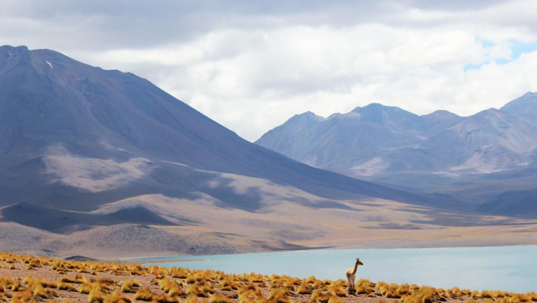 20 things you should know about balangan beach villa