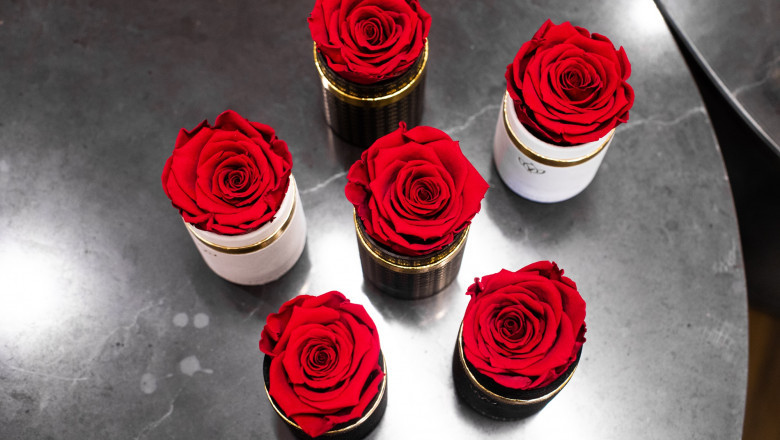 5 Reasons to Give Your Significant Other Roses