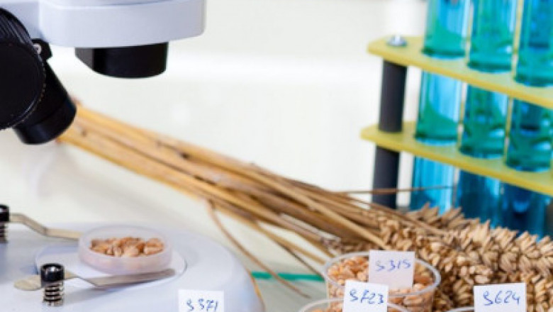 Food Testing Lab in Pune | Food Quality Testing Lab - Bioscience Biotech Laboratory.