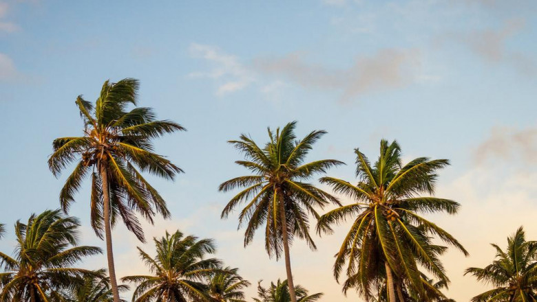 20 huyen thoai ve saytruyen busted