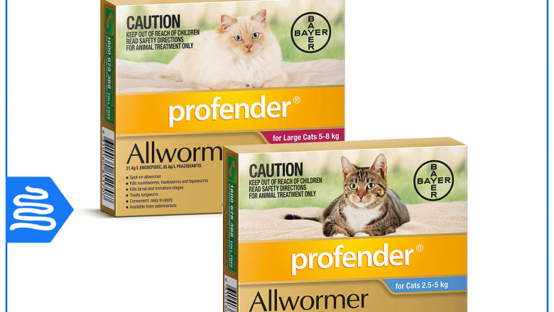 Profender Allwormer for Cats to Control and Treat Worms