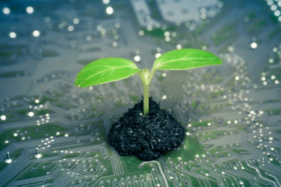 Digital Transformation and Sustainability