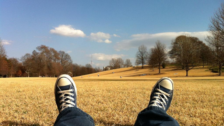 watch out how gold coast web development is taking over and what to do about it