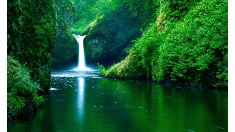 Waterproofing Contractors Sydney