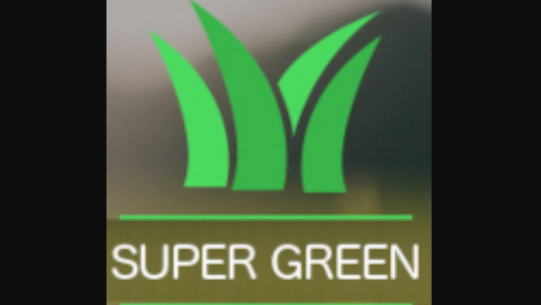 Why Would You'll need Tree Removal Services