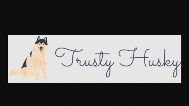 3 Things You will need to Know Prior to Adopting Husky Puppies