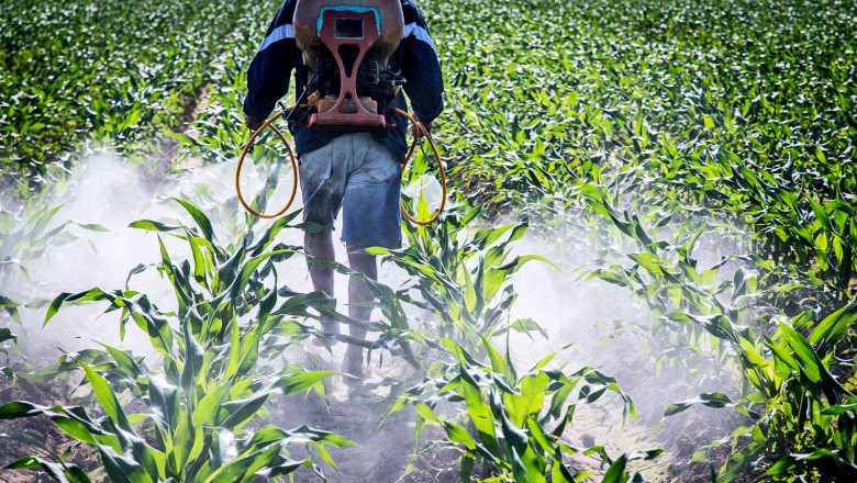 Agriculture Bactericides Market Outlook