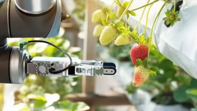 Agtech Market Research Report Detailed Analysis 2022| Research Informatic