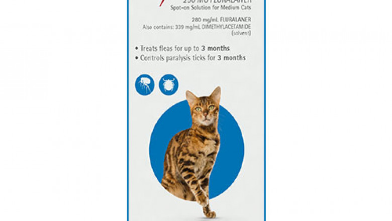Buy Bravecto Spot On For Medium Cats (2.8 - 6.25 Kg) Blue