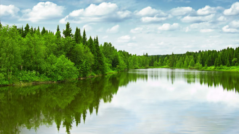 Lake Management Market Size 2021 with Industry Development Scenario and Forecast to 2030