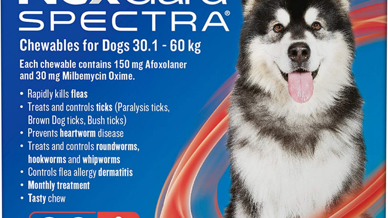 Nexgard Spectra 3pk for 30.1-60 Kg dogs Monthly Flea, Tick & Worming Prevention