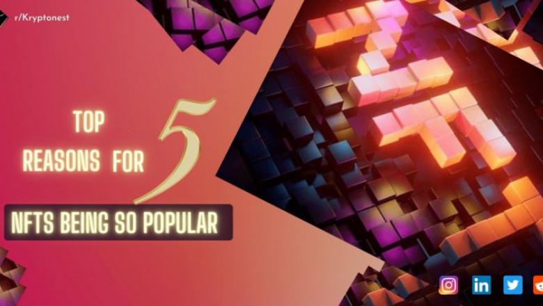 Top 5 Reasons For NFTs Being So Popular