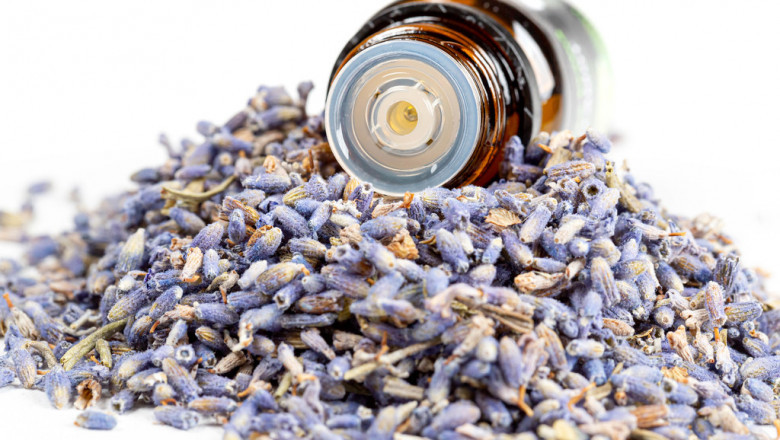 Factors To Consider Before Buying A Lavender Essential Oil