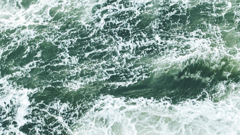 10 things you learned in kindergarden thatll help you with antleseis elioupole