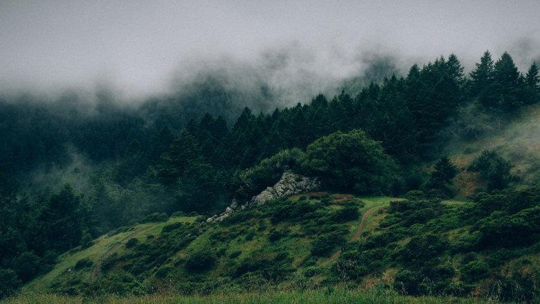 30 inspirational quotes about athens ladies