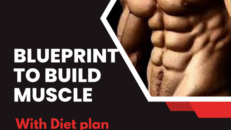 Blueprint to Build Muscle with diet plan