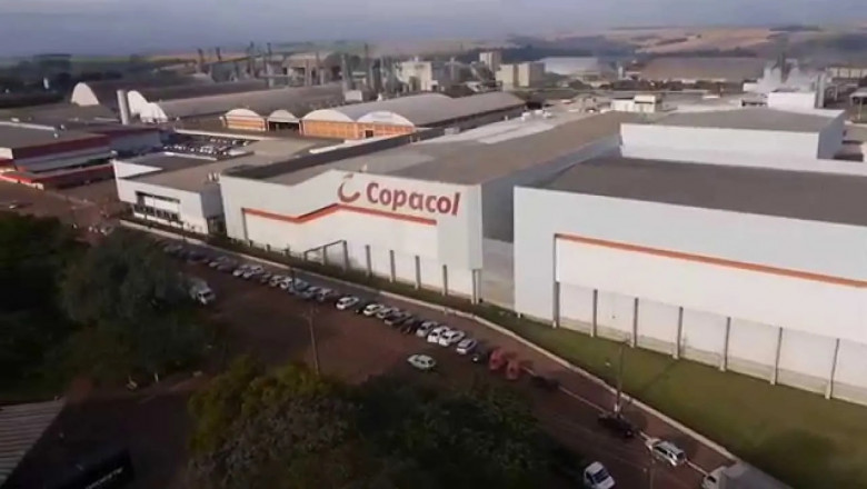 Helpful Tips In Caring For Baby Chickens