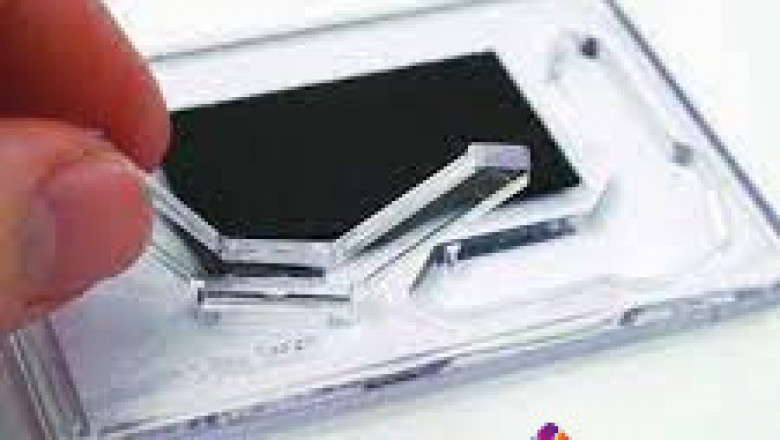 Get 3d Lenticular Magnet
