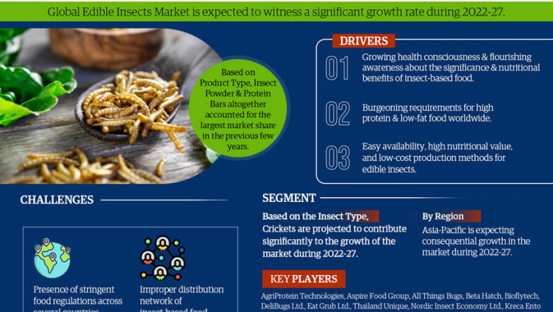 Global Edible Insects Market Technology Development 2022: Global Demand and Supply Forecast Up to 2027: