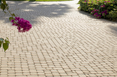 Improve Your Landscaping Design with a Professional Touch
