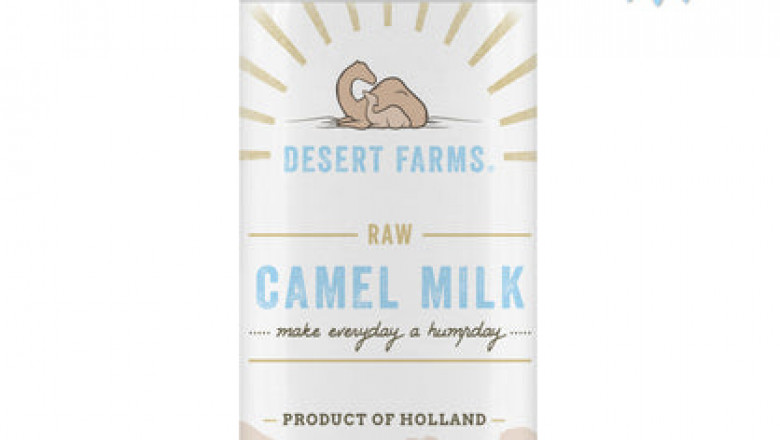 Surprising Facts that Make Camel Milk Better than Cow Milk